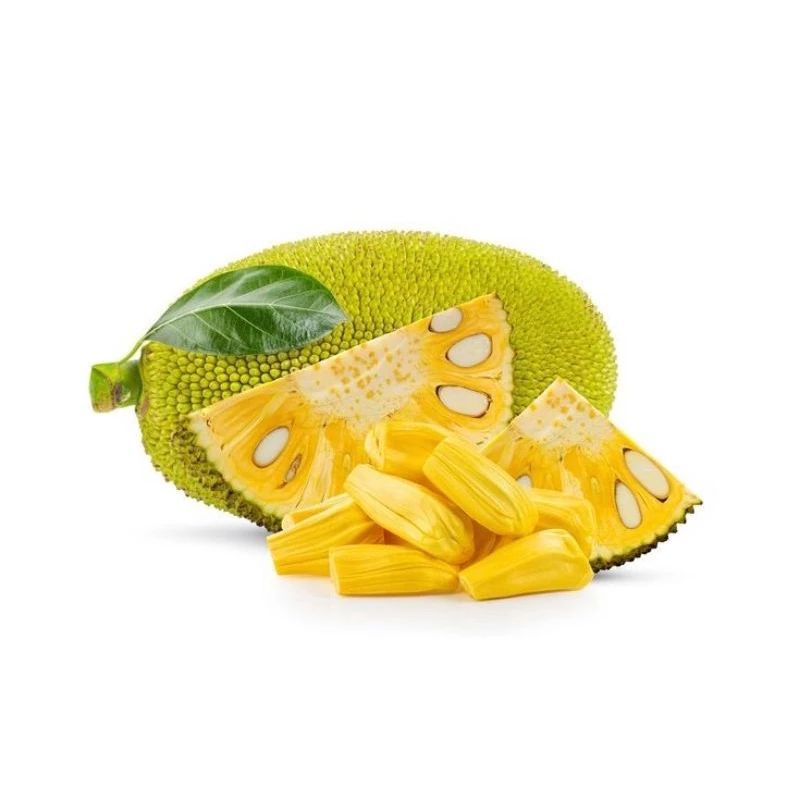 

INSTAN Nangka Mateng 1 potong