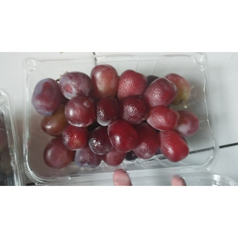 

anggur red Muscat seedles | 500 gram