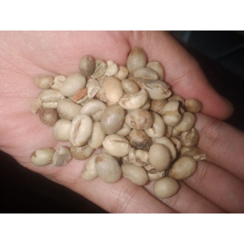 

biji kopi robusta Lampung