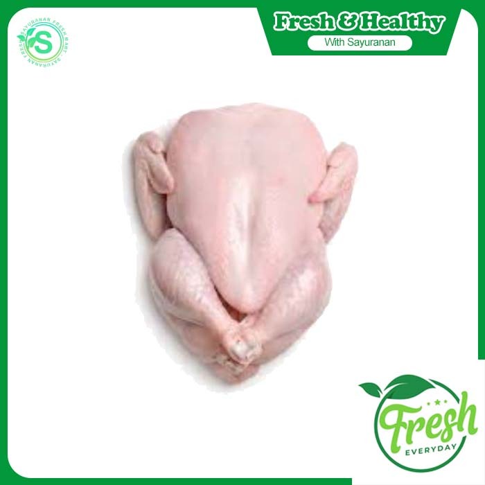 

AYAM KARKAS FROZEN 800g 1kg 1,2kg - N FRESH MART