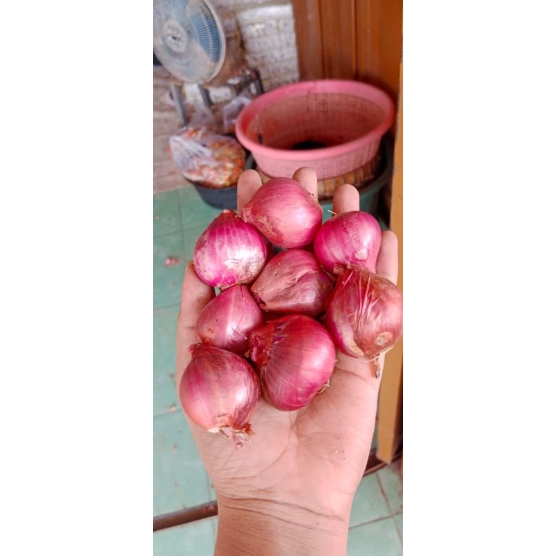 

bawang merah 1kg