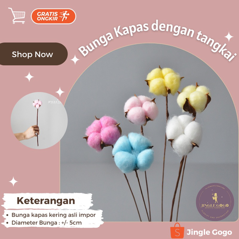 Bunga Kering Kapas dengan tangkai untuk buket artificial warna putih pink biru ungu kuning Cotton Fl