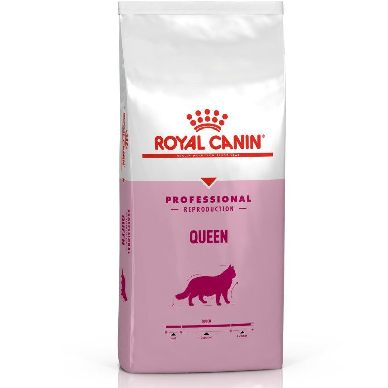 Royal Canin Queen 4kg Makanan Kucing Hamil dan Menyusui