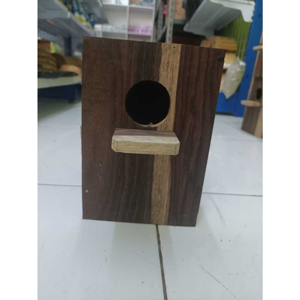 ADEWAP GLIDER Glodok Kayu Tempat Sembunyi Sugar Glider