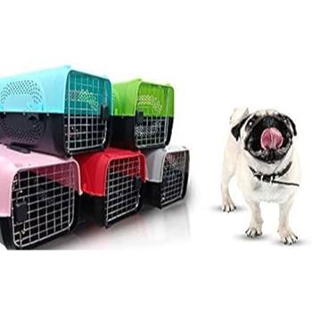 Pet Cargo Kucing Anjing Kennel Box - Tas Travel Kucing Anjing