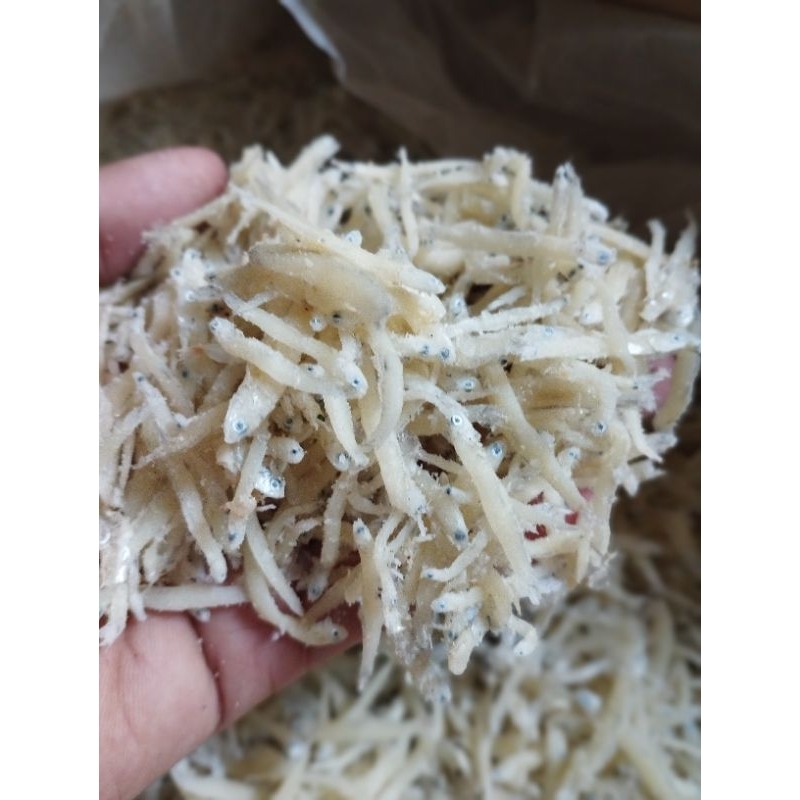 

TERI MEDAN KERING