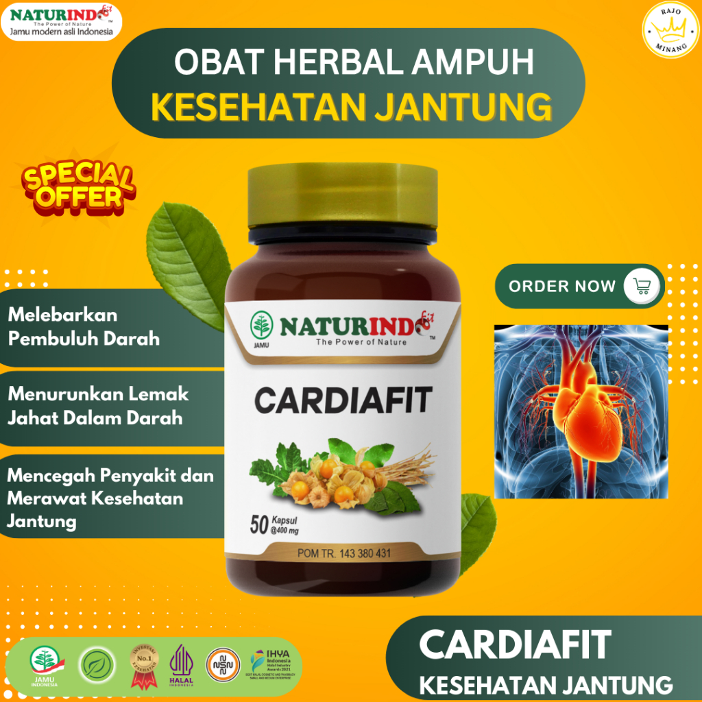 Obat Herbal Kesehatan Jantung Obat Jantung Koroner Nyeri Dada Berdebar Nyeri Sebelah Kiri Bengkak Le