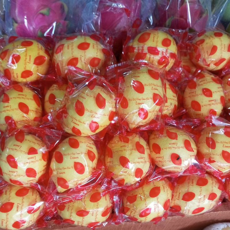 

Jeruk Lemon Import Fresh 1Kg