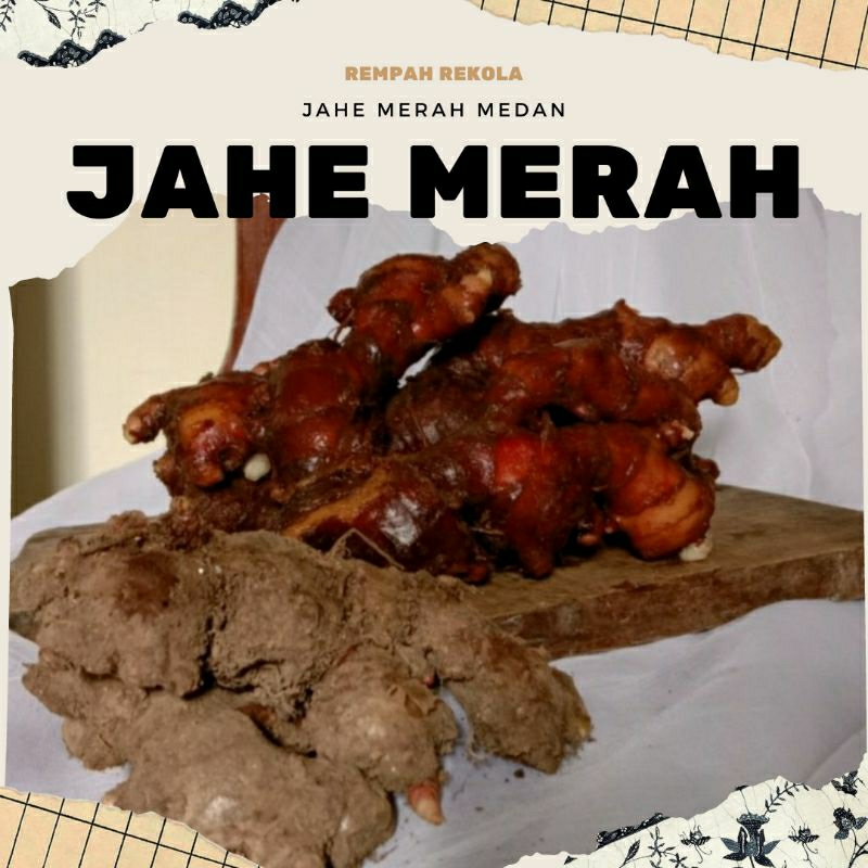 

Jahe Merah 1kg Jahe Merah Segar Jahe Merah Medan