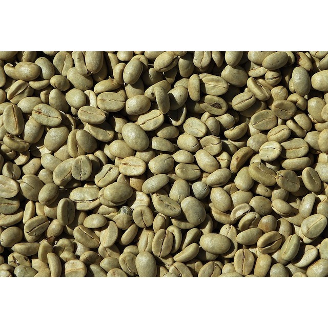 GRADE 3 Green Coffee Bean / Biji Kopi Mentah