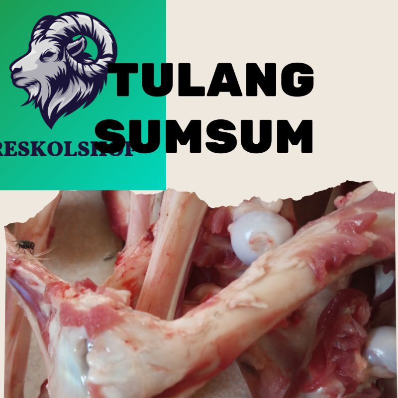 

Tulang sumsum kambing muda 1kilo