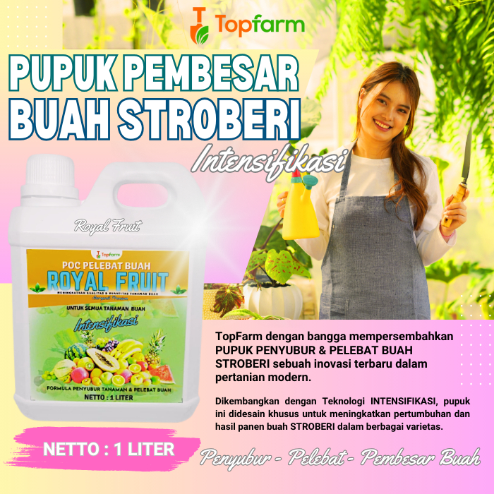 Pupuk Stroberi Berbuah Lebat / Pupuk Stroberi Biar Berbuah / Pupuk Pelebat Buah Stroberi / Pupuk Pem