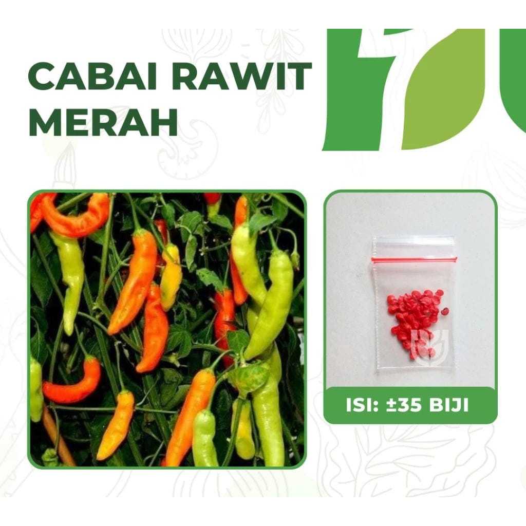 Benih Cabai Rawit Cabe Rawit Chili Pepper 50 Benih