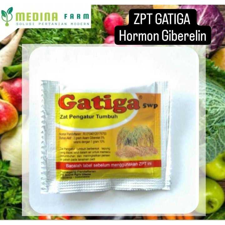 GATIGA ZPT PENGATUR TUMBUH