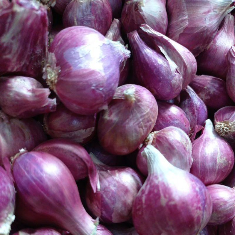 BAWANG MERAH UKURAN JUMBO