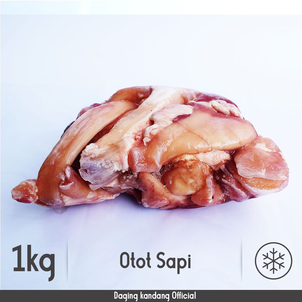 

OTOT KIKIL SAPI