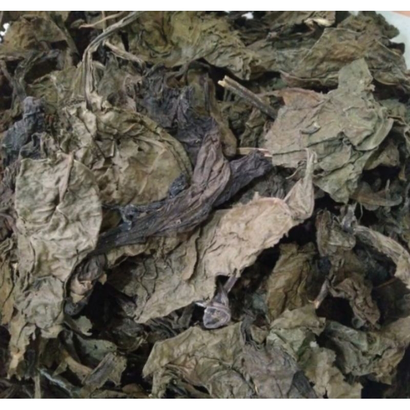 

Daun Ungu Kering 100gr