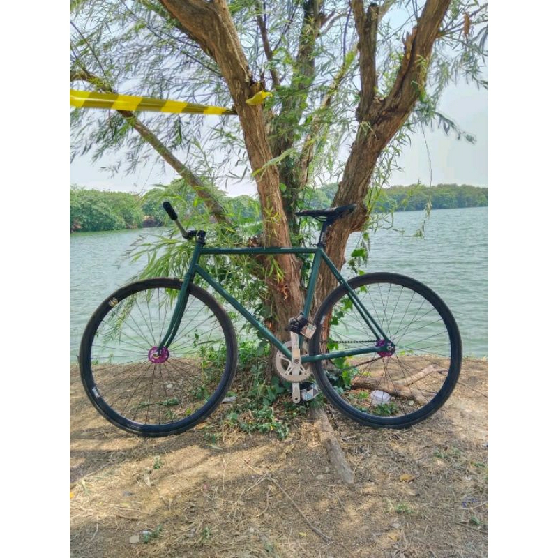 frame set fixie classic standart include bb & headset