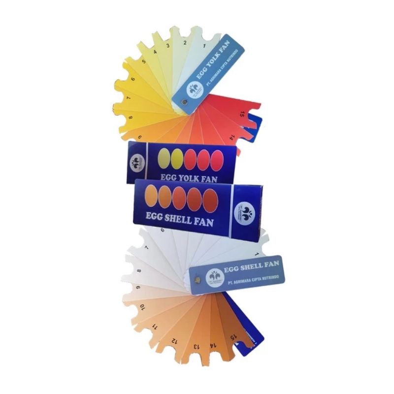 egg Shell fan - bagan mengukur kualitas serta warna cangkang telur