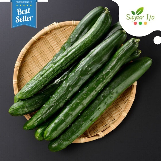 

Timun Jepang Kyuri 480 - 500 Gram Fresh Japanese Cucumber Mentimun Sayur Segar