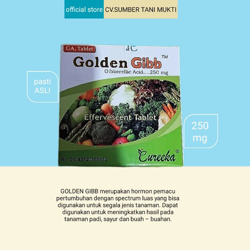 GA3 GIBRO GOLDEN GIB