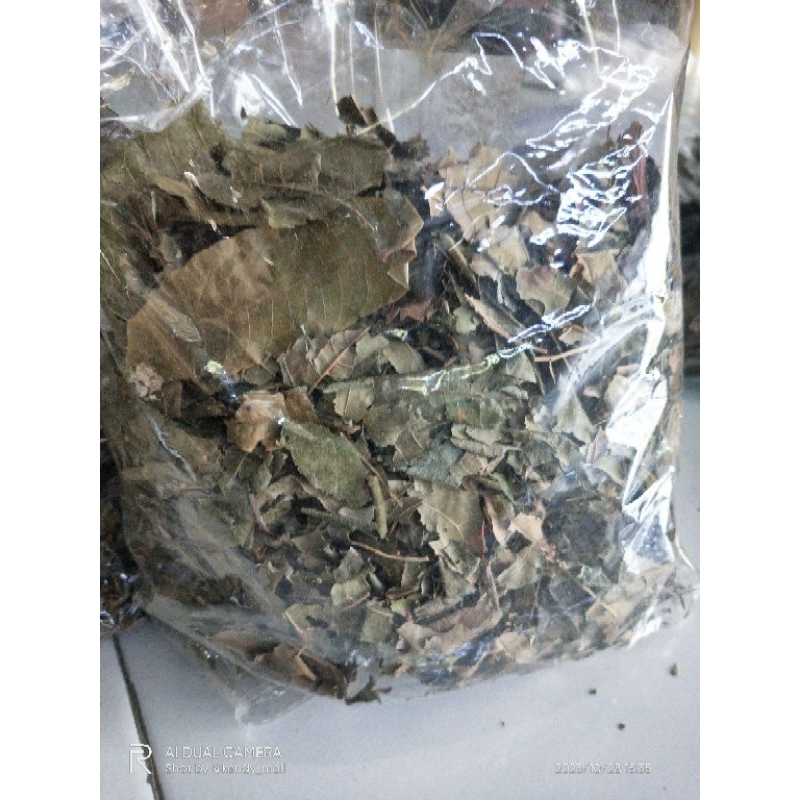 

Daun suren kering / Daun surian kering herbal kesehatan tubuh