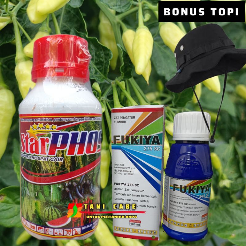 FUKIYA 100 ml & STARPHOS 500 ml