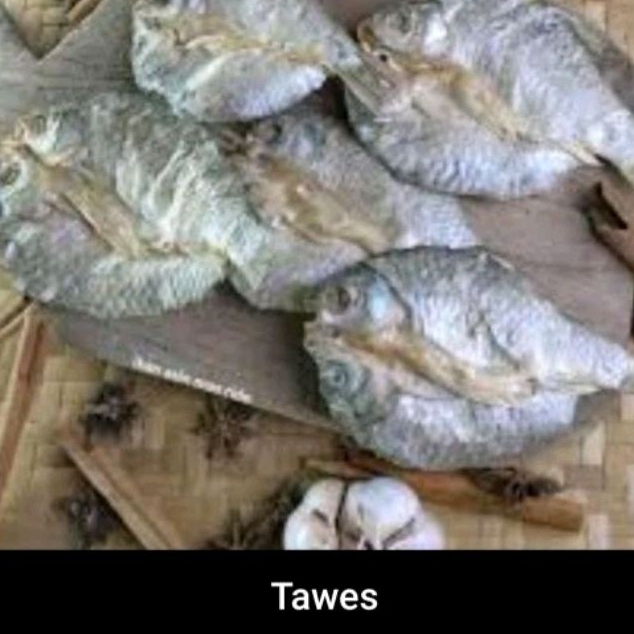 

Ikan Asin Tawes