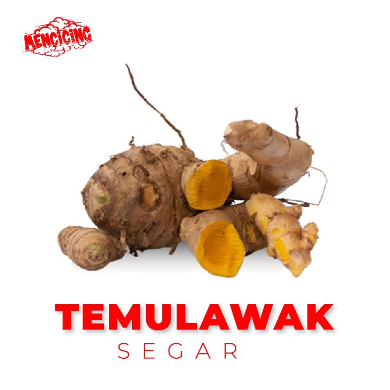 

Temulawak Mentah / Temulawak Tanah Banjar Mencicing