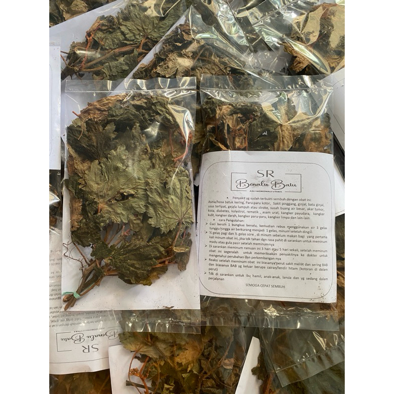

BENALU BATU ASLI 100% FREE 1 PCS PEMBELIAN 40 PCS