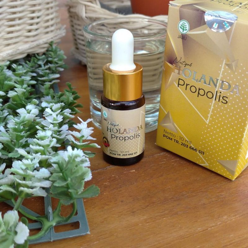 propolis holanda