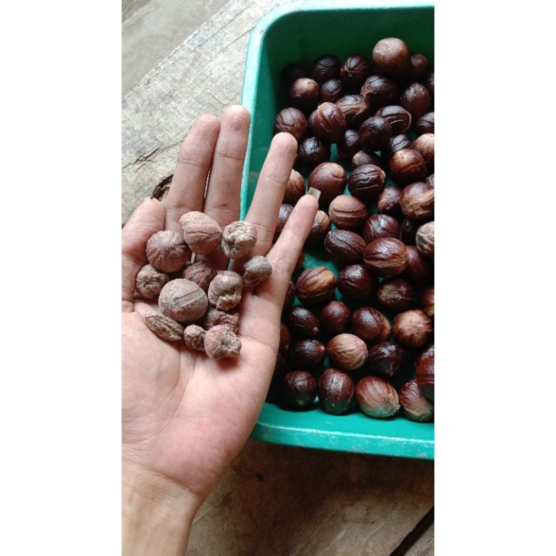 

pala kering