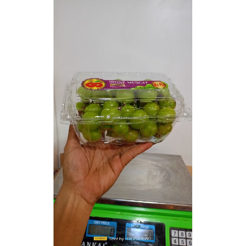 

anggur hijau seddles Muscat