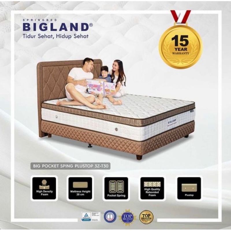 bigland pocket spring