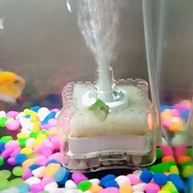 filter cartridge AQUAWING AQ 25 F Filter Aquarium - Mini Filter - Internal Filter Aquascape dan topl