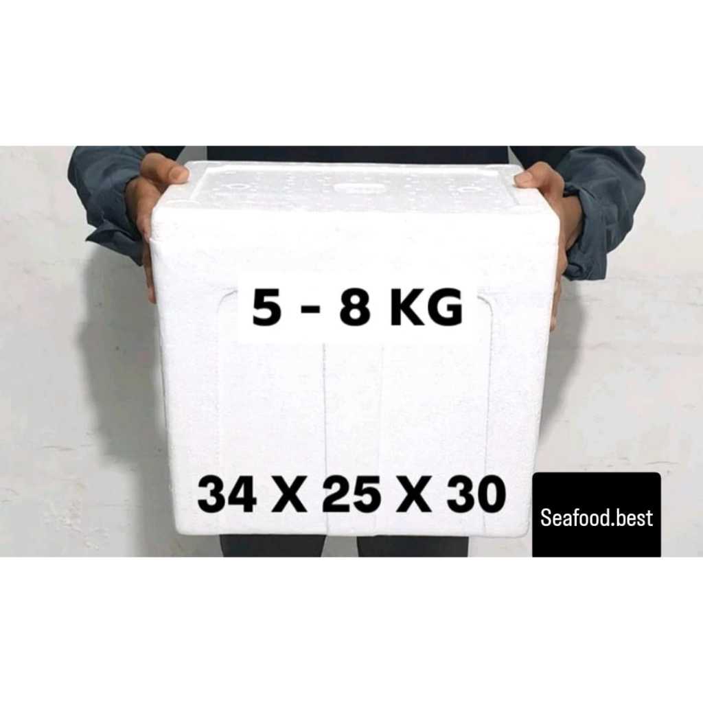 STEROFOAM BOX DAGING IKAN SAYUR BUAH