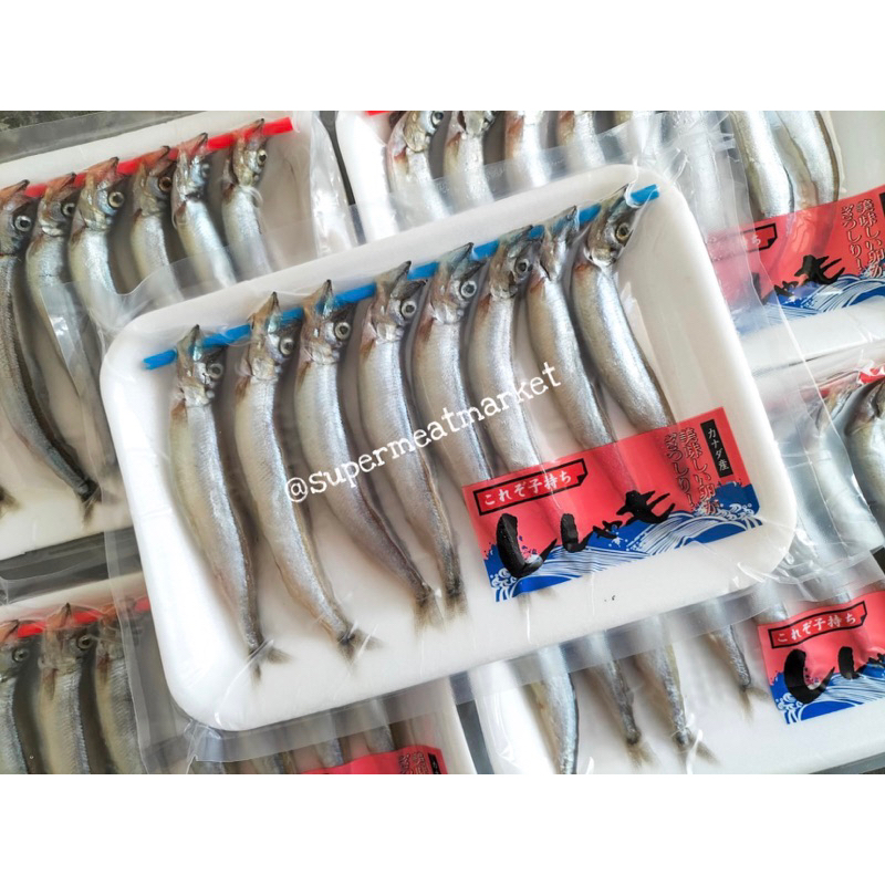 

Ikan Shisamo Tray Full Telur / Ikan Cipung