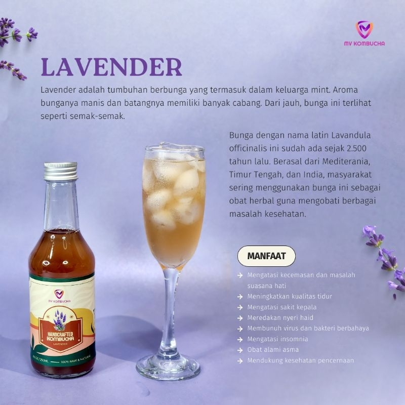 

Kombucha Lavender