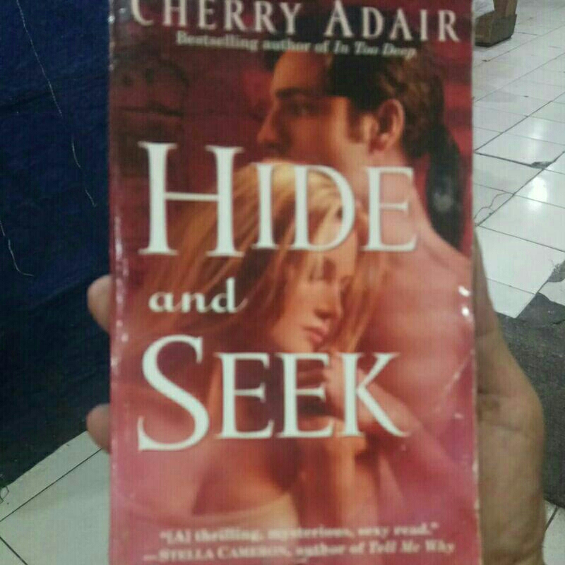 NOVEL BEKAS HIDE AND SEEK