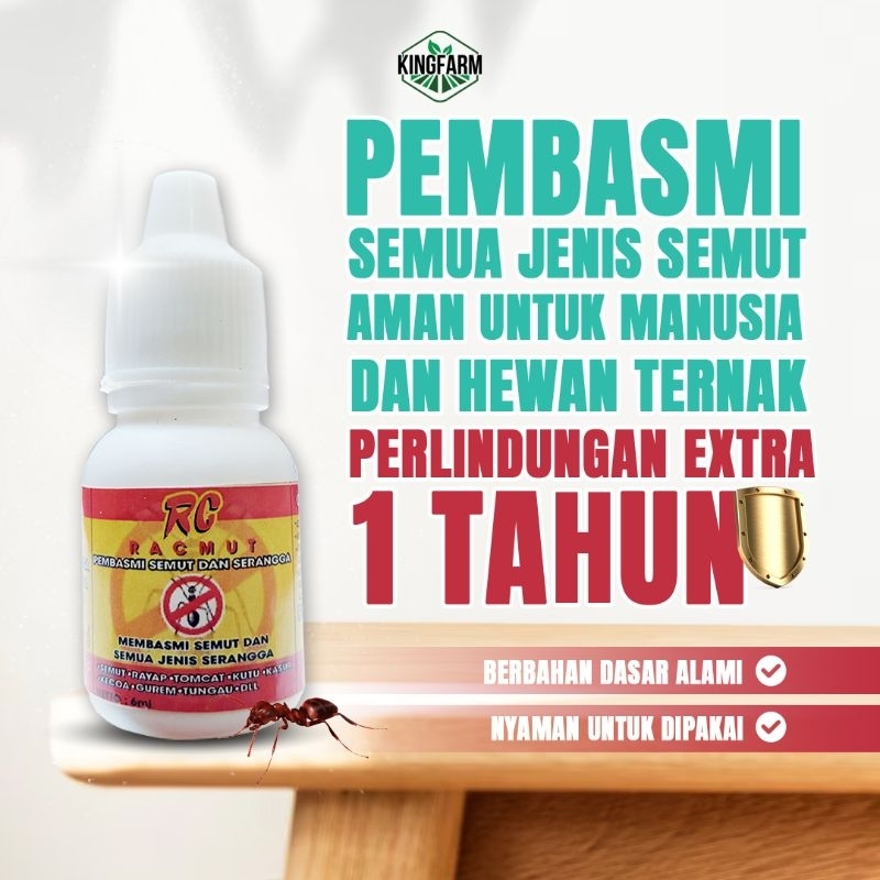 Racun semut pembasmi semut obat semut racun semut ampuh pembasmi semut ampuh obat semut ampuh racun 