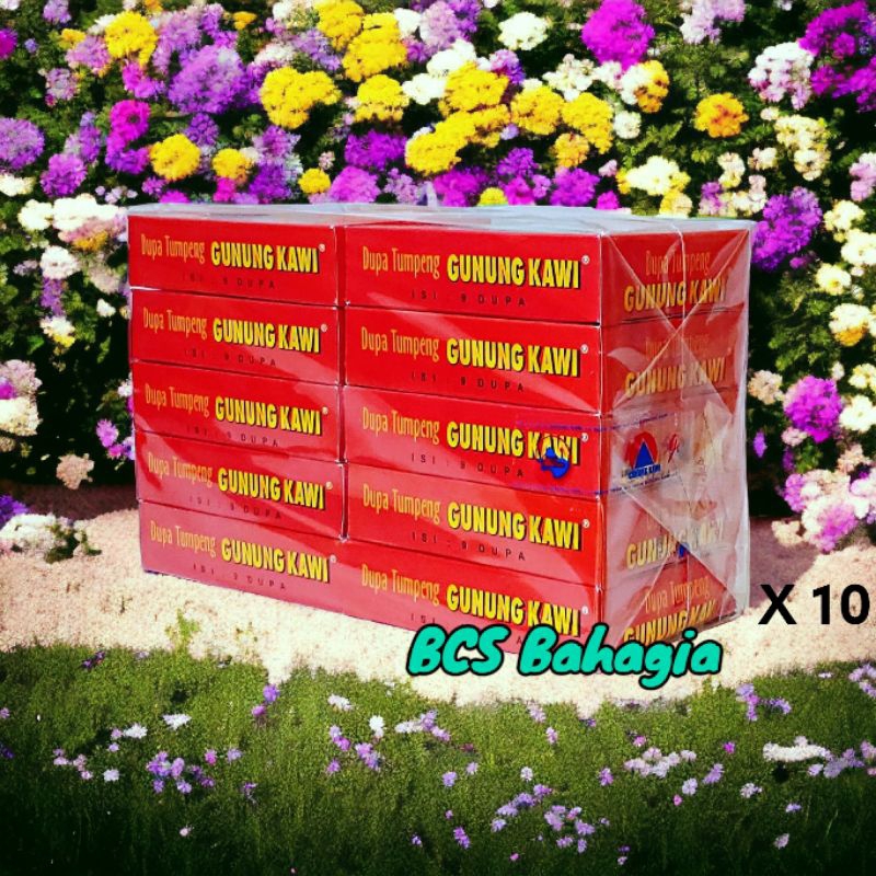 hio dupa tumpeng gunung kawi cone kerucut original cap buah thoo cones incense / buhur gunung kawi i