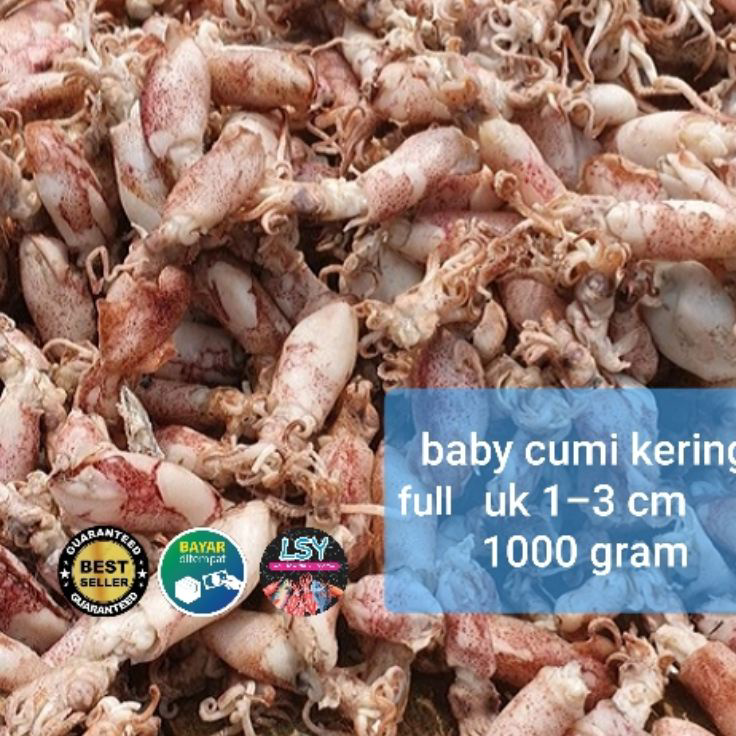 

Stock Banyak ikan asin baby cumi / cumi rebus kering full 1 kg