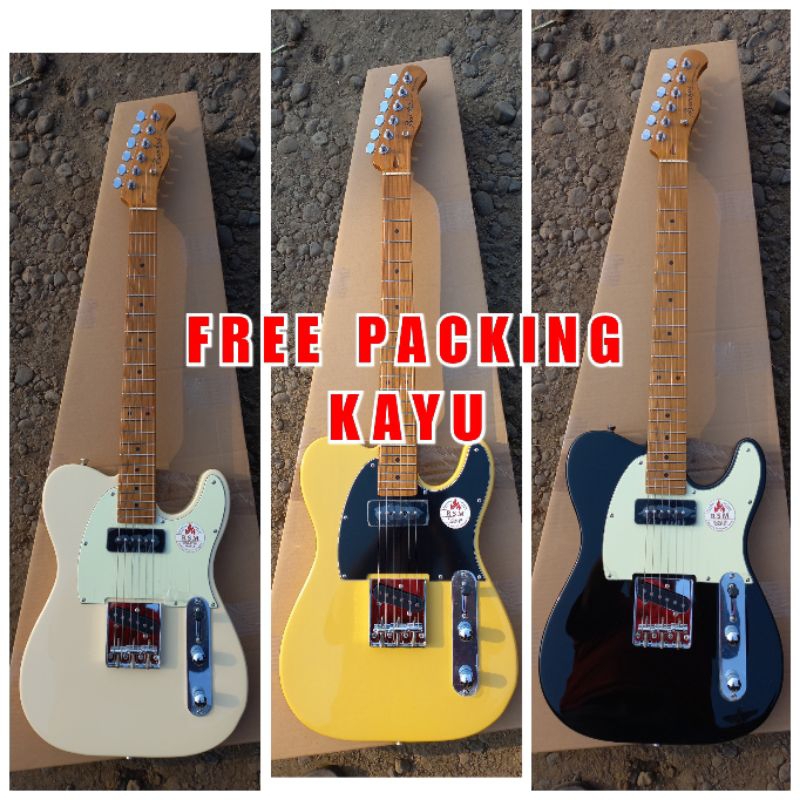 GITAR ELEKTRIK BACCHUS BTE 2 RSM BACHUS
