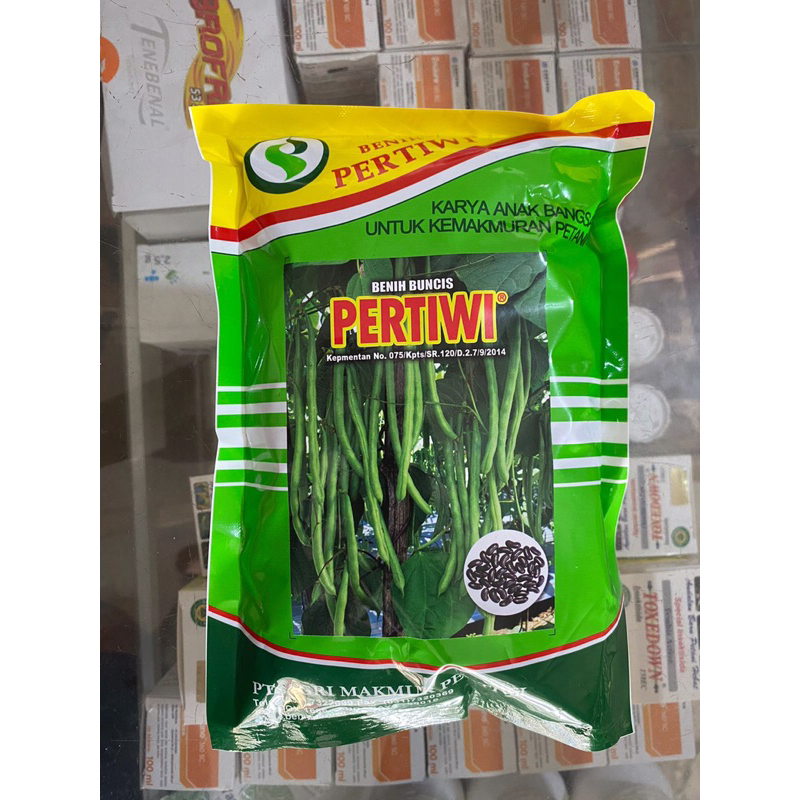 Benih Bibit Buncis Pertiwi 500 gram