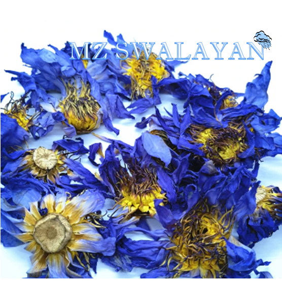 

DRIED BLUE LOTUS IMPORT / LOTUS BIRU KERING TESTER KEMASAN KECIL 5 GRAM