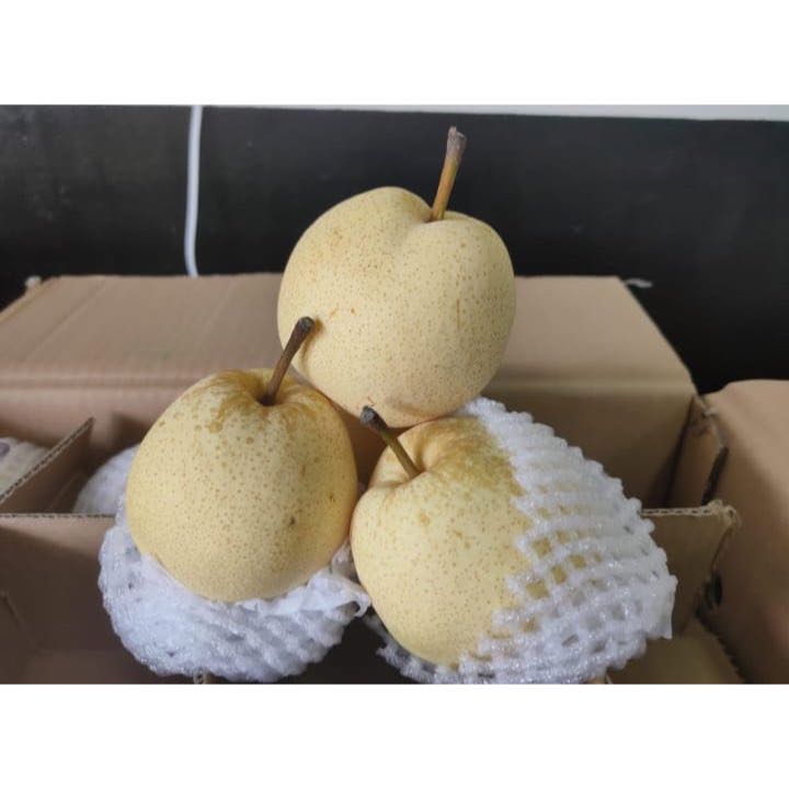 

Buah Sweet Pear Pir China Fresh Import Manis