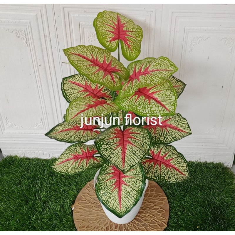 tanaman hias plastik keladi list tengah merah + pot tawon//keladi plastik//keladi artificial