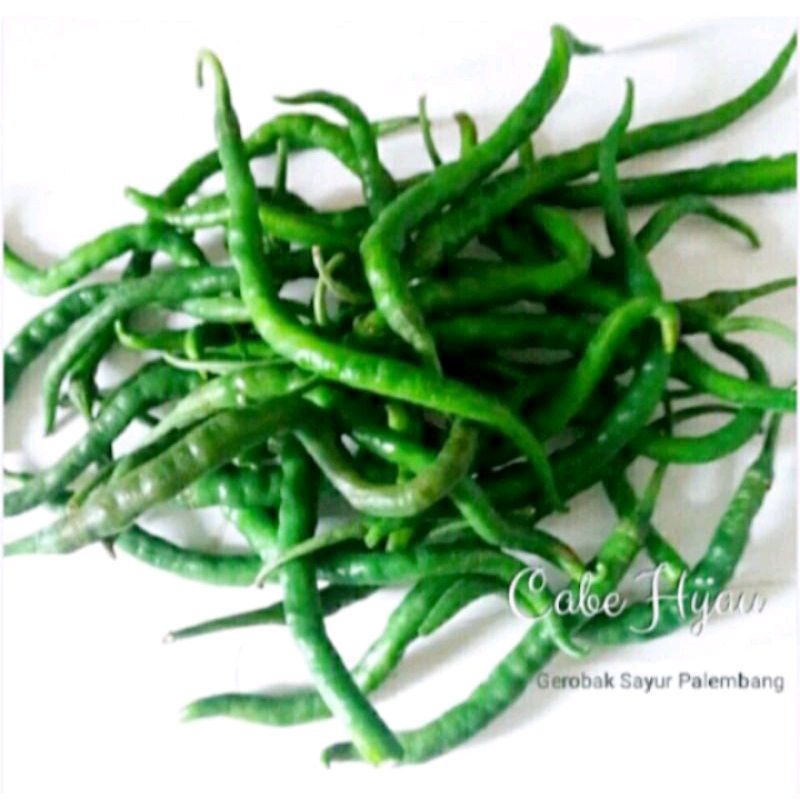 

cabe hijau keriting 100 gr