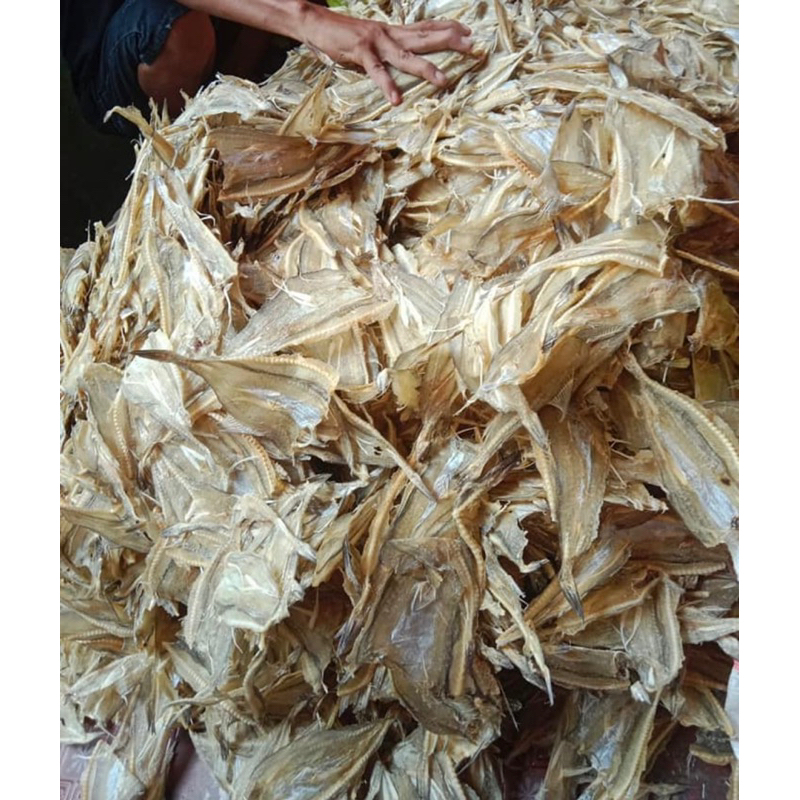 

Ikan Tipis / Ikan Kerupuk 1/2 kg / 500 gr Khas Tarakan Kalimantan, Harga Murah