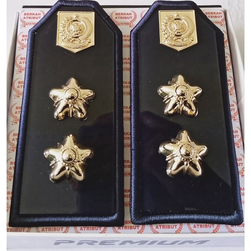 Pangkat Pdu Lurah/Kades Sesuai permendagri